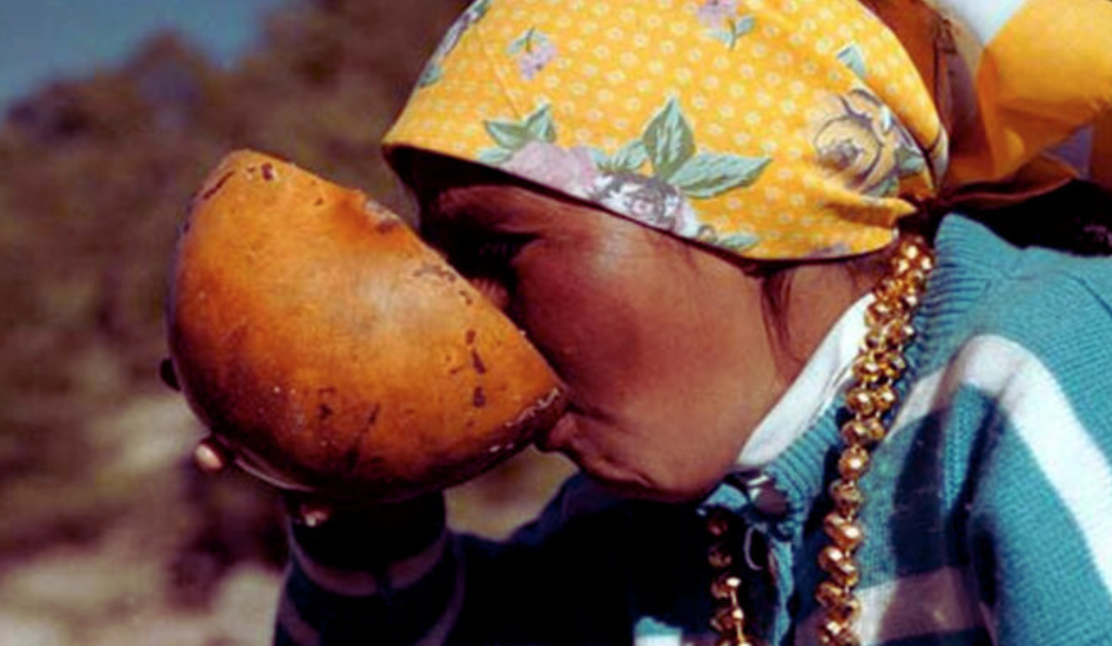 Pinole Raramuri El tesgüino, más que una tradición rarámuri – Chihuahua ES!